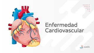 Enfermedad Cardiovascular o Enfermedad Cardiaca Principales enfermedades causas y síntomas [upl. by Yendic]