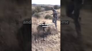 Joe Rogan How to properly hunt Javelinas [upl. by Rhyne13]