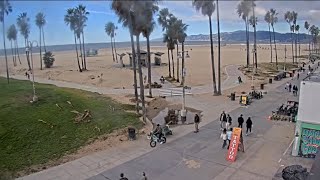 Venice Beach Webcam  Venice Beach Live Cam  venice beach live boardwalk cam [upl. by Nylirak971]