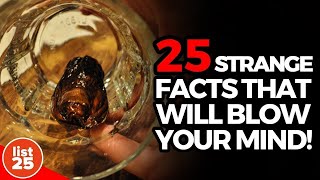 25 Strangest Facts Guaranteed to Blow Your Mind [upl. by Roban25]