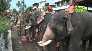 Homage paid to Guruvayur Kesavan [upl. by Town]