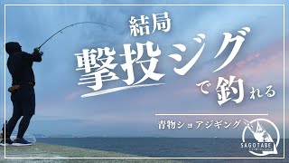 【ショアジギング】武庫一で色々試した結果、結局撃投ジグで釣れた！ [upl. by Pacian587]