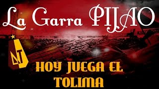 Canción  HOY JUEGA EL TOLIMA  DEPORTES TOLIMA [upl. by Yboc]