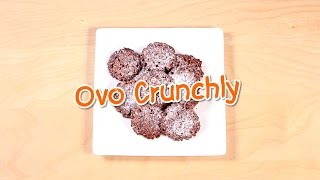 Ovo Rezept Crunchy Ovomaltine Brunsli Crunchly [upl. by Sela762]