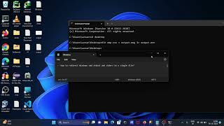 How to redirect Windows CMD stdout and stderr to Single File [upl. by Robb]