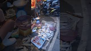 nag kalat ang bangus sa kalsada ng binangonan dahil sa bagyo [upl. by Ylime882]