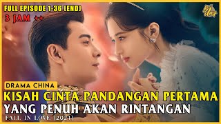 Alur Cerita Drama China Fall In Love [upl. by Nirhtak]