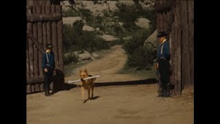 As Aventuras de RinTinTin S02E33  RinTinTin Encontra um Osso Dublado HD [upl. by Cleon]