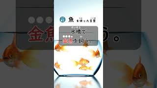 JLPT N5 Kanji「魚」 日本語 Kanji japanese jlpt [upl. by Omlesna442]