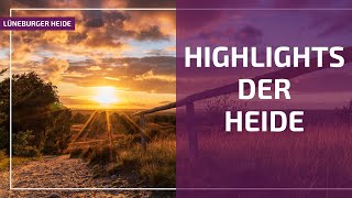 Highlights der Lüneburger Heide Totengrund und Wilseder Berg [upl. by Colby944]