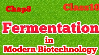 Fermentation in Modern Biotechnology  Chap 8  Biotechnology  Biology Class 10 [upl. by Shermy520]