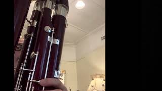 THE CASUAL CONTRABASSOON Beethoven  Symphony No 5 IV Allegro [upl. by Amando]