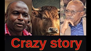 Bizarre tale of Khalwales raging bull and Kakamega habits and drama  Kenya news [upl. by Arag]