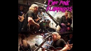 The Pink Flamingos Live [upl. by Dorthy]