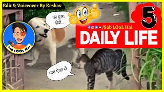 Daily Life Part 5  Sab LOol Hai [upl. by Oek]