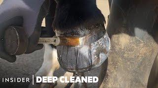 How Horse Hooves Are Deep Cleaned  Deep Cleaned  Insider [upl. by Corene602]