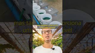 Ecologia Prática A Implementação da Aquaponia em Ambientes Educacionais aquaponia agro [upl. by Nolie]