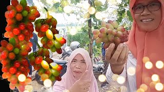 ICIP ICIP ANGGUR MANICURE FINGER di kebun tangerang grape [upl. by Kendyl]