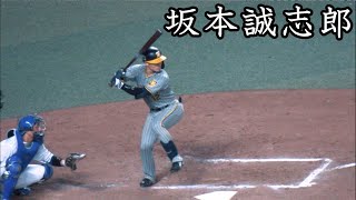 阪神 坂本誠志郎 打撃フォーム スローモーション付 [upl. by Anidene652]