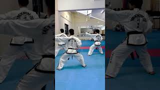 ITF TAEKWONDO PATTERN WonHyo [upl. by Ferro]