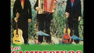 LOS CAMPESINOS Carnaval campesino Apurimac  Cover Audio [upl. by Notnad605]