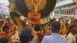 IDUMBAN KADUMBAN  THAIPUSAM 2024 RAJA MUNISWARAN URUMEE MELAM [upl. by Aksehcnarf]