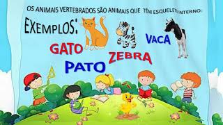 CLASSIFICAÇÃO DOS ANIMAIS em vertebrados e invertebrados 1º aula [upl. by Faustena838]