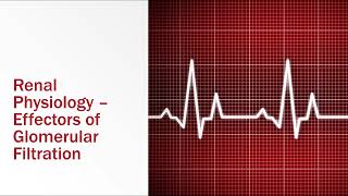Renal Physiology Effectors of Glomerular Filtration [upl. by Song457]