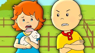 Caillous Bunny  Caillou Cartoon [upl. by Salot765]