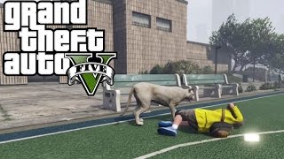 Le damos al peyote en GTA V y nos convertimos en 5 animales [upl. by Ninahs]