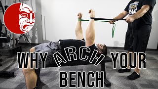 Arching Can Improve Shoulder Stability [upl. by Enalahs]