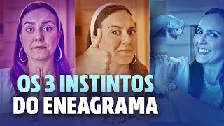 INSTINTOS do Eneagrama  Aula COMPLETA [upl. by Ivets]