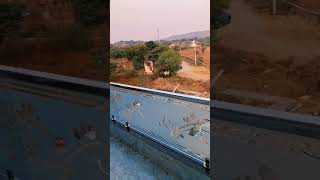 Tuffen glass railing work with 304 ss meterial JRT corporation Neem ka thana [upl. by Luing]