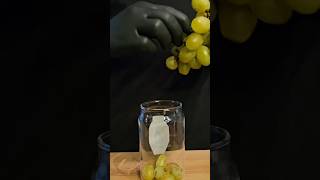 Green grapes Mojito easyrecipe mojito shorts asmr [upl. by Edualcnaej589]