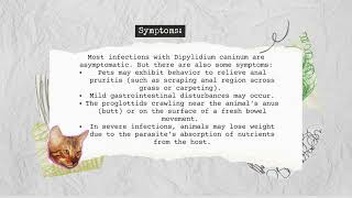 Disease Dipylidium caninum [upl. by Ralat96]