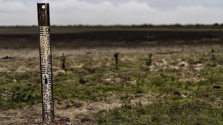 NGOs deliver over 260000 signatures to protect Spains Doñana park to the European Commission [upl. by Blatt]