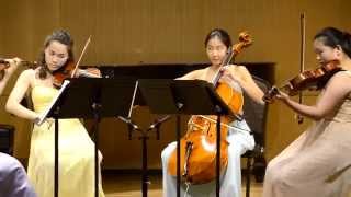 Brahms  Hungarian Dance No5 [upl. by Arised]