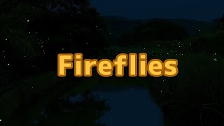 Fireflies LYRICS [upl. by Oynotna888]