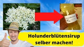 Holunderblütensirup selber machen 🌞 Mein bestes Rezept [upl. by Elyse116]