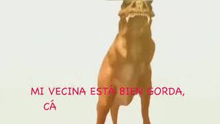 MI VECINA ESTA BIEN GORDA CALLESE VIEJA FODONGA REMIX HD [upl. by Eidoow]