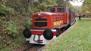 Ribblesdale Cement Ltd 060DH Shunter No 6  Tanfield Railway Run It Gala Weekend 19th Oct 2024 [upl. by Lleynad163]