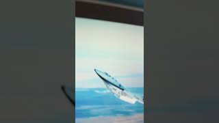 Plane crash animation vs real life [upl. by Anwahsat]