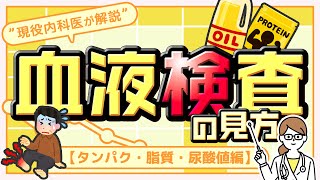 血液検査の見方④【タンパク・脂質・尿酸値編】“ 現役内科医が解説 ” [upl. by Nosac]