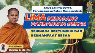 PANDANGAN BENAR TIDAK CUKUP HARUS DIRAWAT DENGAN LIMA HAL INI I PERSPEKTIF AGAMA BUDDHA [upl. by Nnaitsirk]