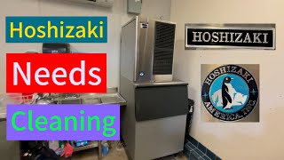 Hoshizaki ice machine cleaning and evaporator scrub [upl. by Borchert]