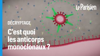 Les anticorps monoclonaux sontils un traitement d’avenir contre le coronavirus [upl. by Nader]