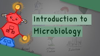 Introduction To Microbiology [upl. by Oisangi]