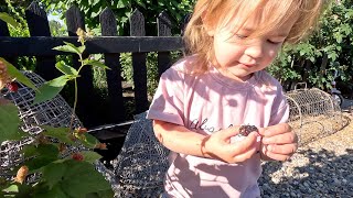 Planting Dwarf Thornless Blackberries amp More Warm Season Veggies Flowers from Seed 💚🌿💚 [upl. by Arayt614]