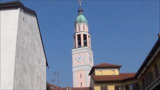 Campane di Arconate MI Chiesa di S Eusebio [upl. by Anitsim977]