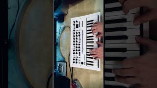 Korg Minilogue XD sounds korg synth shorts [upl. by Attenauq]